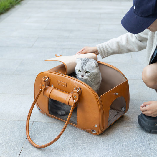 Stylish Pet Carrier Bag for Travel and Outdoors